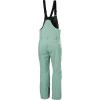 Helly-Hansen Legendary Insulated Bib Pant – Waterproof Ski Pants – Snow Overalls – Breathable Snowboarding Bottoms(489 Cactus)