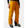 Helly-Hansen Legendary Insulated Ski Pant – Waterproof Men’s Snow Pants – Breathable Cold Weather Gear – Adjustable Fit(328 Cloudberry)
