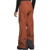Helly-Hansen Mens Garibaldi 2.0 Waterproof Ski Pant(301 Iron Oxide)