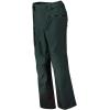 Helly-Hansen Mens Garibaldi 2.0 Waterproof Ski Pant(495 Darkest Spruce Melange)
