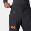 Helly-Hansen Mens Garibaldi 2.0 Waterproof Ski Pant(660 Black Grape)
