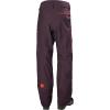 Helly-Hansen Mens Garibaldi 2.0 Waterproof Ski Pant(674 Bourbon)