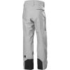 Helly-Hansen Mens Garibaldi 2.0 Waterproof Ski Pant(949 Grey Melange)