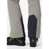 Helly-Hansen Women’s Sportswear Alphelia 2.0 Pant(885 Terrazzo)