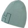 Helly Hansen Unisex Outline Beanie(489 Cactus)