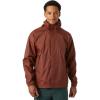 301 Iron Oxide