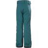 Helly-Hansen Junior Unisex Elements Ski Pants(453 Dark Creek)