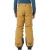 Helly-Hansen Junior Unisex Elements Ski Pants(787 Lynx)