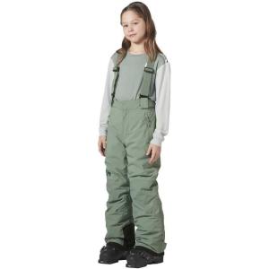 Helly-Hansen No Limits 2.0 Pant – Junior Unisex Waterproof Insulated Ski Pants for Kids, Breathable Snow Wear(489 Cactus)
