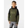 Helly-Hansen baby-boys Helly Hansen Junior Daybreaker Fleece Hoodie Jacket(431 Utility Green)