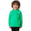 Helly-Hansen baby-boys Helly Hansen Junior Daybreaker Fleece Hoodie Jacket(499 Bright Green)