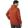 Helly Hansen mens Standard Nord Graphic Pull Over Hoodie(308 Canyon)