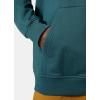 Helly Hansen mens Standard Nord Graphic Pull Over Hoodie(453 Dark Creek)
