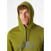 Helly Hansen mens Standard Nord Graphic Pull Over Hoodie(461 Olive Green)