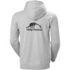 Helly Hansen mens Standard Nord Graphic Pull Over Hoodie(953 Grey Melange 2)