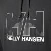 Helly Hansen mens Standard Nord Graphic Pull Over Hoodie(980 Ebony)