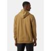 Helly Hansen mens Standard Nord Graphic Pull Over Hoodie(Yellow)