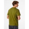 Helly-Hansen Mens F2F Organic Cotton Tee 2.0(461 Olive Green)