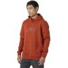 Helly Hansen mens Standard Nord Graphic Pull Over Hoodie(308 Canyon)