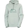 Helly-Hansen womens Nord Graphic Pullover Hoodie(462 Green Mist)