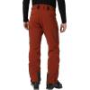 Helly Hansen Alpha LIFALOFT Insulated Ski Pant – Waterproof Winter Pants for Men – Cold Weather Gear Winter Trousers(301 Iron Oxide)