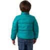 Helly Hansen boys Dalen Reversible Jacket(540 Cerulean Blue)