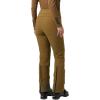 Helly-Hansen Avanti Stretch 2.0 Pant – Women’s Waterproof Snow Pant, Skiing-Pants, Breathable, Windproof, Adjustable Waist(718 Sepia)