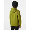 Helly-Hansen Junior Unisex Loen Midlayer Jacket(461 Olive Green)