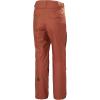 Helly-Hansen Sogn Cargo Pant for Men – Durable Snow Pant, Ideal Skiing-Pants with Waterproof & Breathable Fabric(301 Iron Oxide)