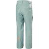 Helly-Hansen Sogn Cargo Pant for Men – Durable Snow Pant, Ideal Skiing-Pants with Waterproof & Breathable Fabric(489 Cactus)