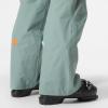 Helly-Hansen Sogn Cargo Pant for Men – Durable Snow Pant, Ideal Skiing-Pants with Waterproof & Breathable Fabric(489 Cactus)