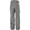 Helly-Hansen Sogn Cargo Pant for Men – Durable Snow Pant, Ideal Skiing-Pants with Waterproof & Breathable Fabric(876 Concrete)