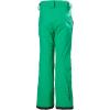 Helly Hansen Junior Legendary Pant – Waterproof Kids Snow Pants – Articulated Boys Ski Bottoms, Extendable Snow Gear for Kids(499 Bright Green)