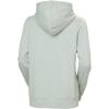 Helly Hansen womens Standard Nord Graphic Pull Over Hoodie Jacket(462 Green Mist)