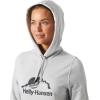 Helly Hansen womens Standard Nord Graphic Pull Over Hoodie Jacket(952 Grey Melange)