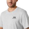 Helly-Hansen Mens Nord Graphic HH T-Shirt(952 Grey Melange)