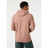 Helly-Hansen Mens Verglas Light Hoodie(Iron Oxide)